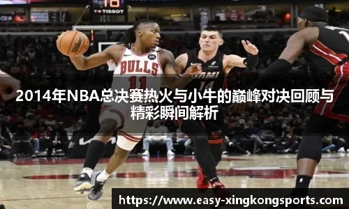 2014年NBA总决赛热火与小牛的巅峰对决回顾与精彩瞬间解析
